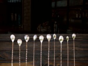 Bar Spoon